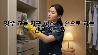 경주 교동 카펫 청소: 내 손으로 하는 간편 청소법